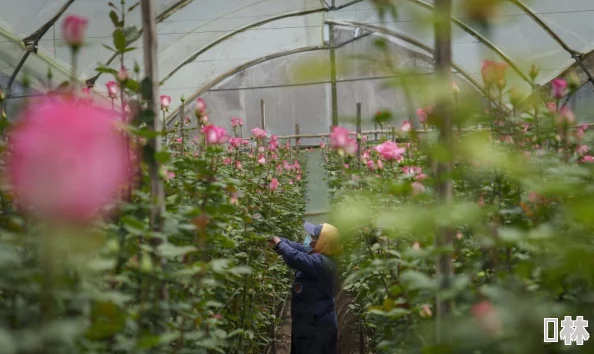 四季物语微信小游戏：趣味玩法、角色养成与季节变换的完美结合，带你领略四季的魅力与乐趣！