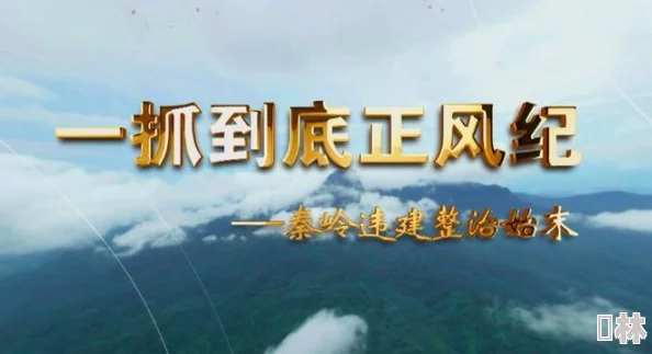 4虎海外永久：解析四位中国高官在国际舞台上的影响力与其背后的政治博弈