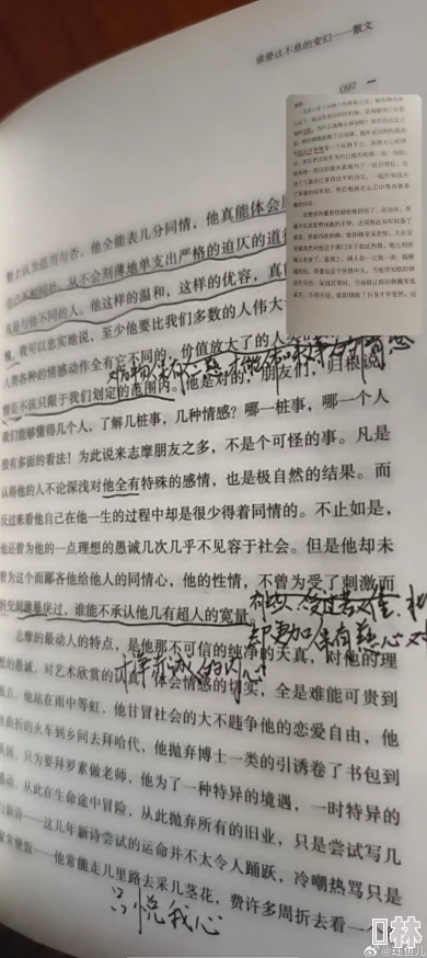 民儿初试风雨录的阅读感受：在成长与挑战中领悟人生真谛，感受文字的力量与情感的共鸣