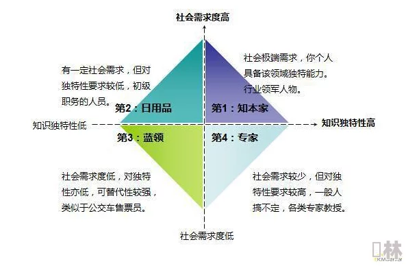 黑暗蘑菇17c：最新研究揭示其独特生态特性与潜在应用前景，引发科学界广泛关注与讨论