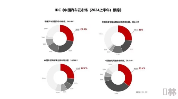 777xxxx：最新进展揭示了项目实施中的关键挑战与解决方案，未来发展方向备受关注