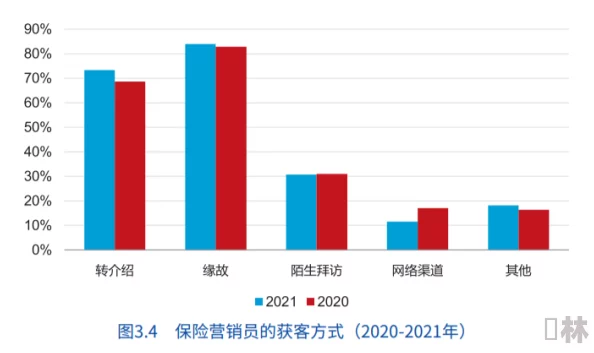 亚洲福利区：新政策推动社会保障改革，助力低收入群体生活水平提升与经济复苏