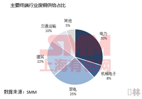 铜铜铜锵锵锵锵锵：全球最大铜矿突发罢工，市场供需关系面临重大挑战！