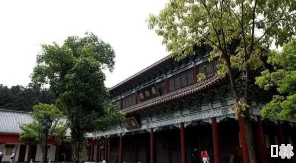 雅典拉开火车视频高清：惊险瞬间曝光，乘客们的反应令人瞠目结舌！