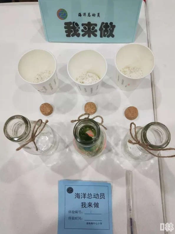 aaaaa级毛皮最建议买吗？了解市场动态与消费者反馈，助你做出明智选择！
