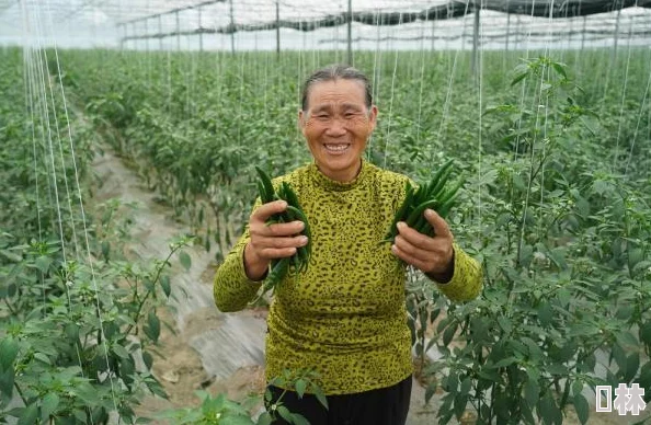 万象物语丰收赋魂活动开放时间及截止日期详解