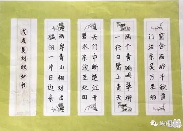 拳皇本纪启功传承文化精髓激发心灵力量共创美好未来