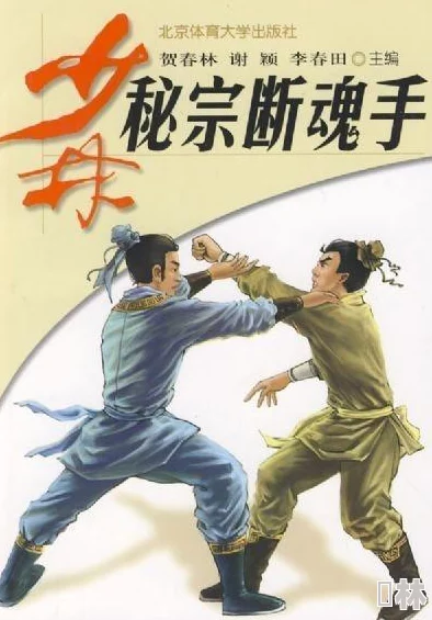 奇思妙想故地重游迷拳三十六招勇敢追梦坚持不懈成就自我
