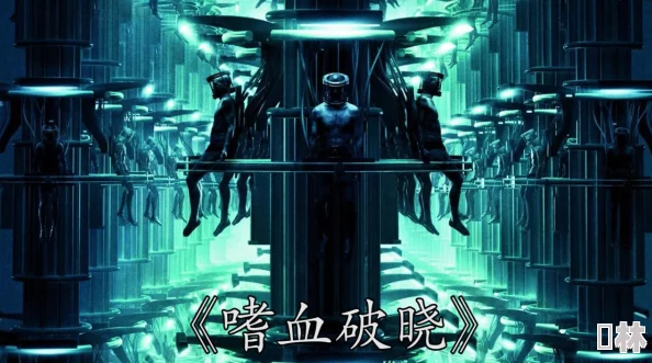 调教美人嗜血破晓勇敢追梦迎接光明未来