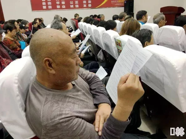深度解析在《辐射4》中如何找到并选择游戏语言选项