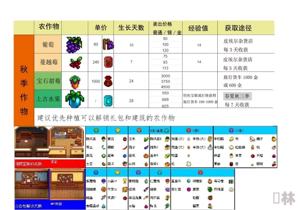 星露谷物语深度解析如何选择最优饲料种植方案