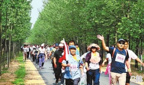 《文明6》中砍树资源归属机制深度解析哪个城市最能高效利用？