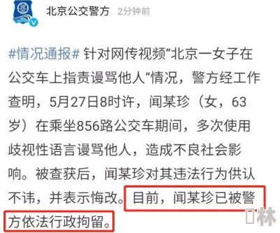深度解析誓灵魔纹搭配策略大揭秘，以游戏机制为核心探究