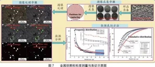 《辐射4》深度解析不同路线选择下的最优策略探讨